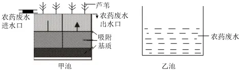 2026初中生物学模拟测试七 第10张