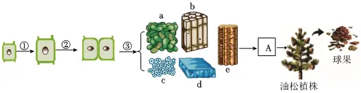 2026初中生物学模拟测试七 第4张