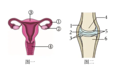2026初中生物学模拟测试七 第6张