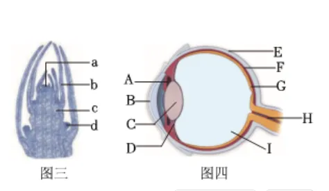 2026初中生物学模拟测试七 第7张