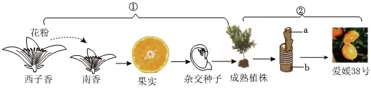 2026初中生物学模拟测试七 第8张