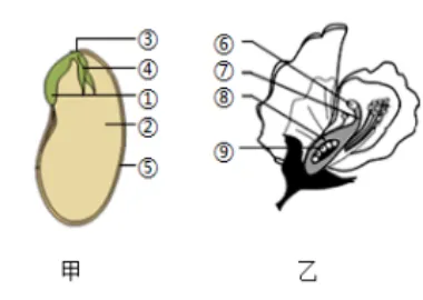 2026初中生物学模拟测试七 第9张