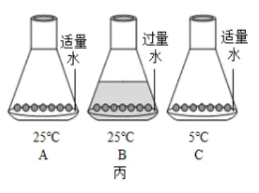2026初中生物学模拟测试七 第10张