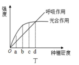 2026初中生物学模拟测试七 第11张