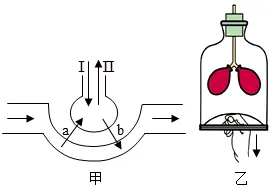 2026初中生物学模拟测试七 第12张