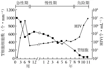2026初中生物学模拟测试七 第13张