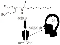 2026初中生物学模拟测试七 第14张