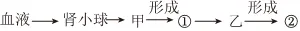 2026初中生物学模拟测试七 第15张