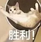 南通国际生必看,大考在即,Alevel真题到底怎么用才最有效? 第5张