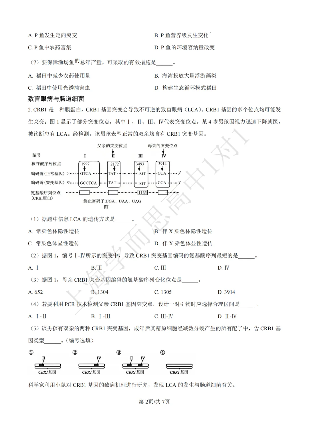 高考真题 | 【生物】2024年上海等级考真题试卷(含详解) 第4张