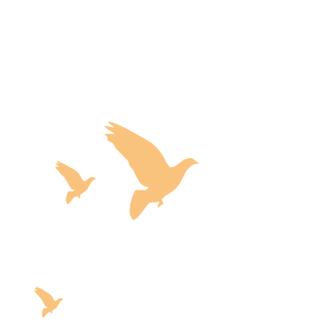 【三中发布·备战中考】我校九年级召开中考冲刺动员暨阶段总结会 第14张