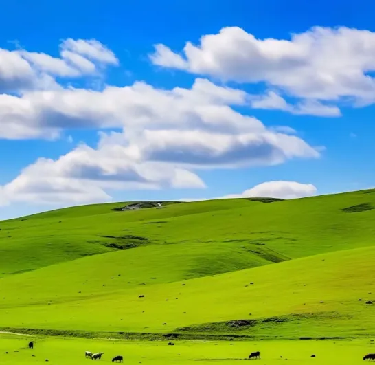 2026内蒙中考英语|命题大改!去模板化时代,靠“本土素材”拿高分 第4张