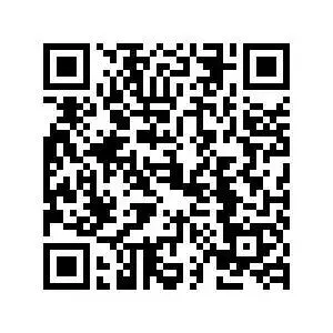 公益模考丨2027年度国家公务员考试笔试全真模拟(4月25日) 第12张