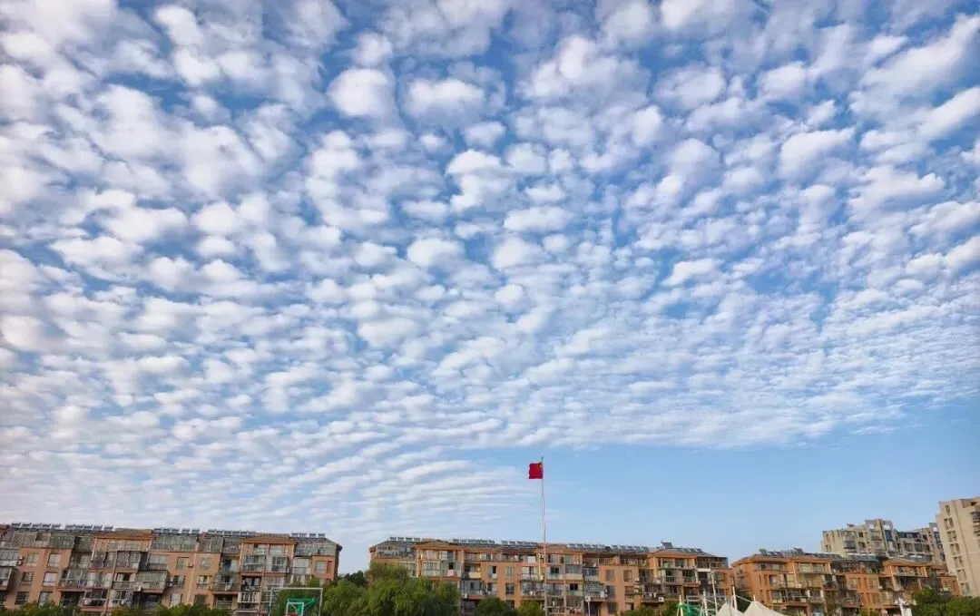 中考最后两个月:语文,家长如何帮孩子有效提分 第7张