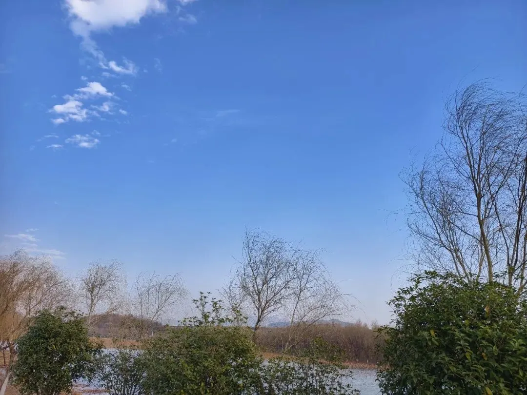 中考最后两个月:语文,家长如何帮孩子有效提分 第11张