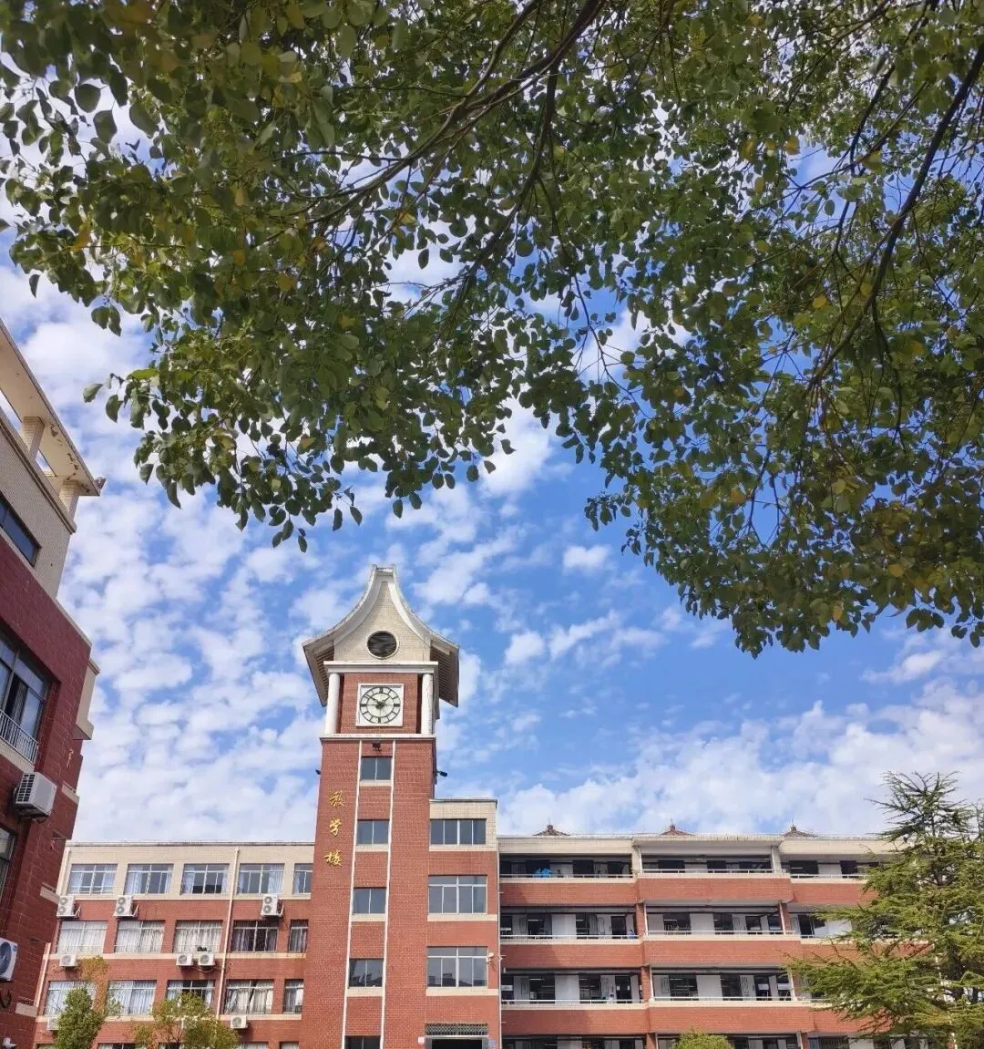 中考最后两个月:语文,家长如何帮孩子有效提分 第22张