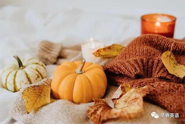 【中考备考】2026年中考英语作文预测19 第3张