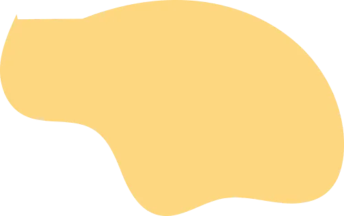 家校同心 护航逐梦——我校高三综合模拟考试分析家长会圆满召开 第1张