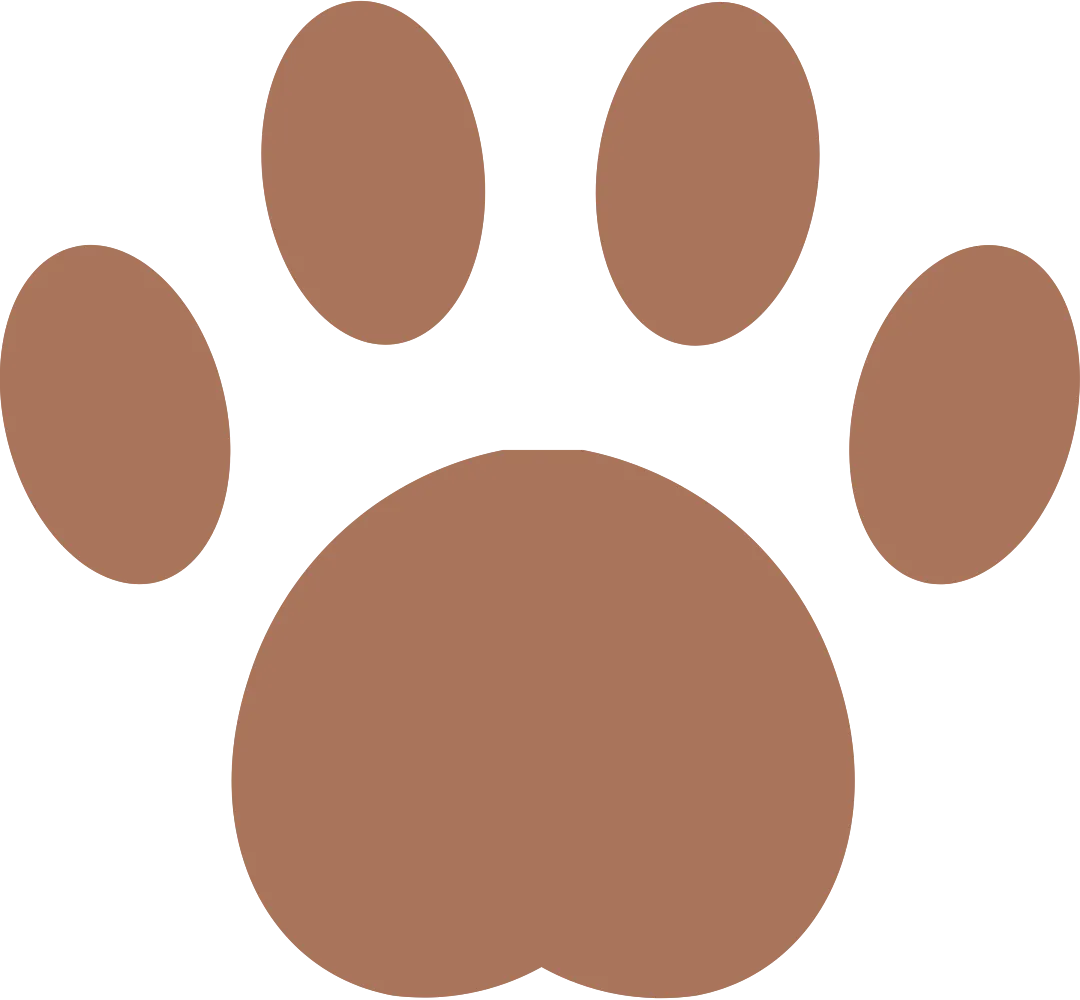 近年真题+三维拆解:这场讲座帮你找到第二阶段口试的真正短板 第6张