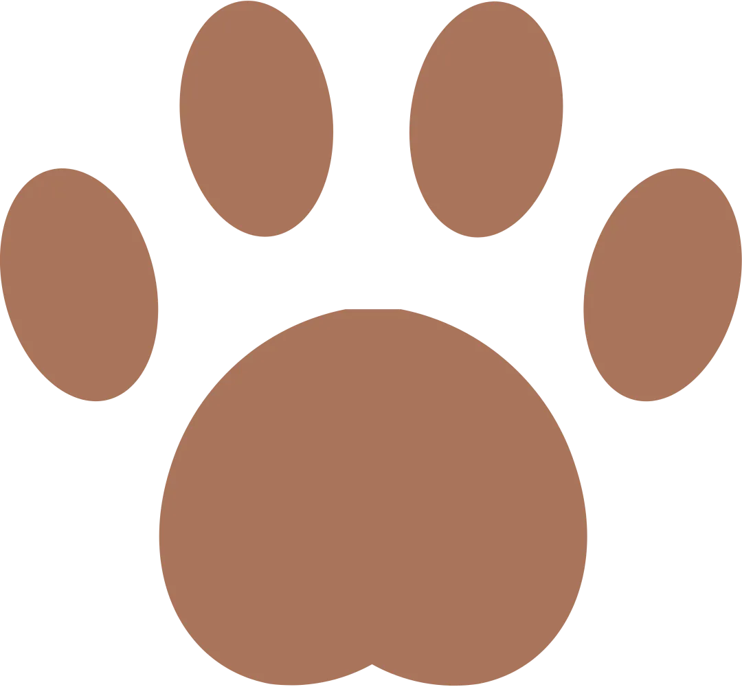 近年真题+三维拆解:这场讲座帮你找到第二阶段口试的真正短板 第7张