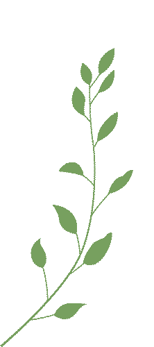 家校同心 护航逐梦——我校高三综合模拟考试分析家长会圆满召开 第8张