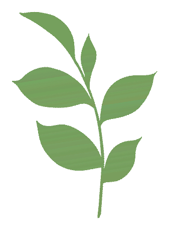 家校同心 护航逐梦——我校高三综合模拟考试分析家长会圆满召开 第30张