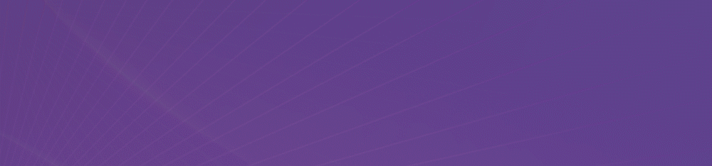 点击下载→鄞州中学高一期中考数学卷及逐题解析 第1张