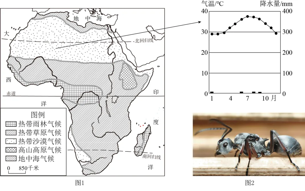 2026最新中考模拟地理试卷2—1 第6张