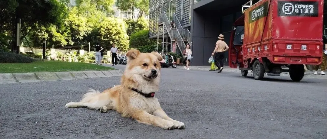 2026年成都市中考政策:我真看懂了,跟大家汇报一下 第12张