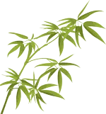 【学科教研】以研促教,精准发力备中考——市北区初中数学九年级教研活动 第3张