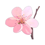 【学科教研】以研促教,精准发力备中考——市北区初中数学九年级教研活动 第5张