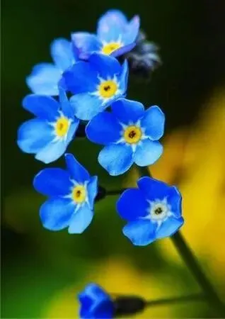 中考语文对应题型解题方略 第4张