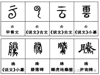 2026年普通高等学校招生全国统一考试模拟测试(二)语  文 第1张