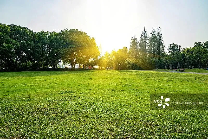 【实验】2025春季四大期中作文真题拆解 第3张