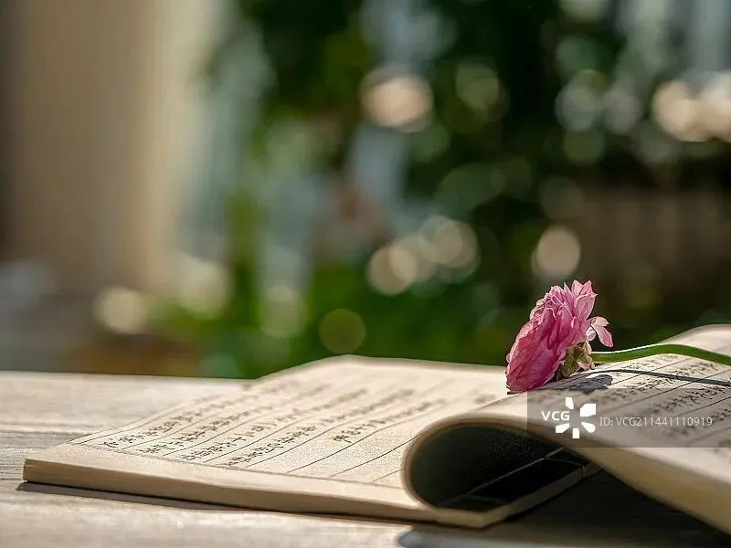 【实验】2025春季四大期中作文真题拆解 第10张