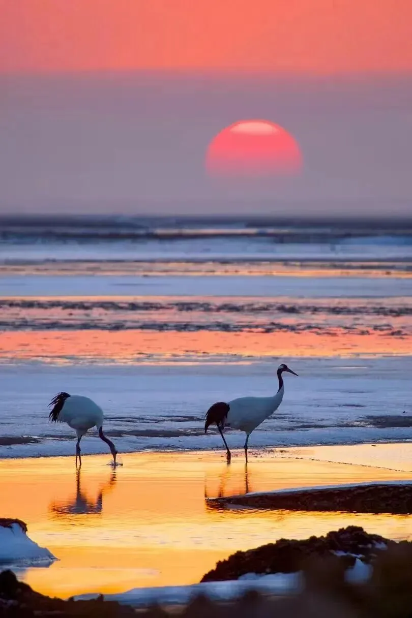 26山东真题:物业改革,从重管理转向更加重服务.有人支持;也有人认为物业应做好本行.对此你怎么看? 第1张