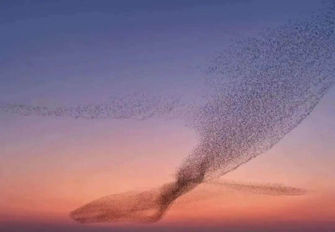 26山东真题:物业改革,从重管理转向更加重服务.有人支持;也有人认为物业应做好本行.对此你怎么看? 第2张