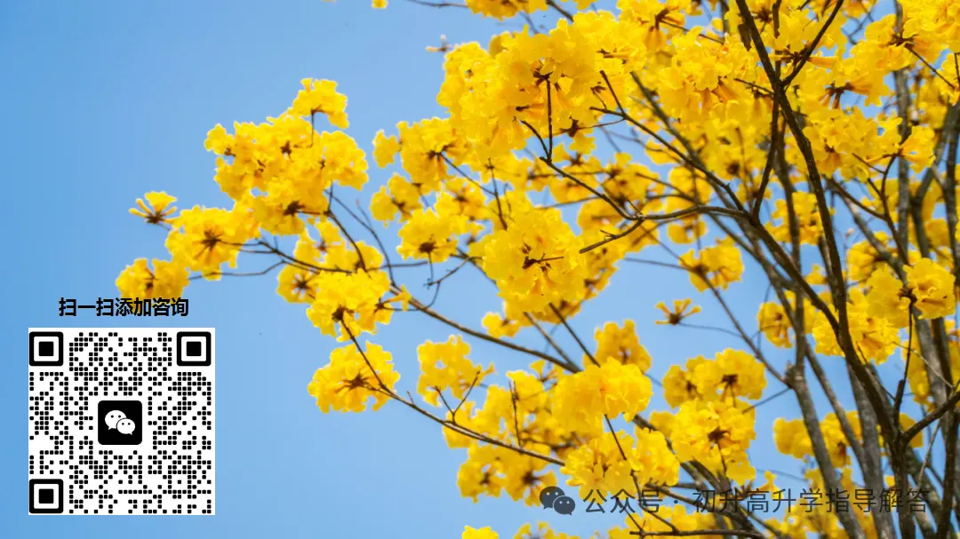 中考择校必看|广西第一工业学校2026招生启动|公办国重+三年学费全免 第12张