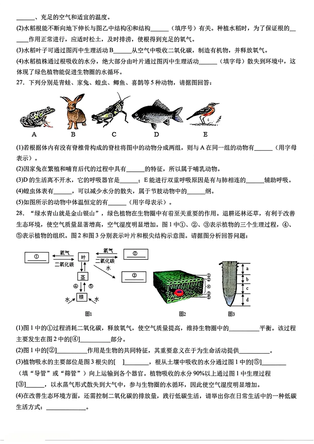 八年级地理模拟试卷 第15张