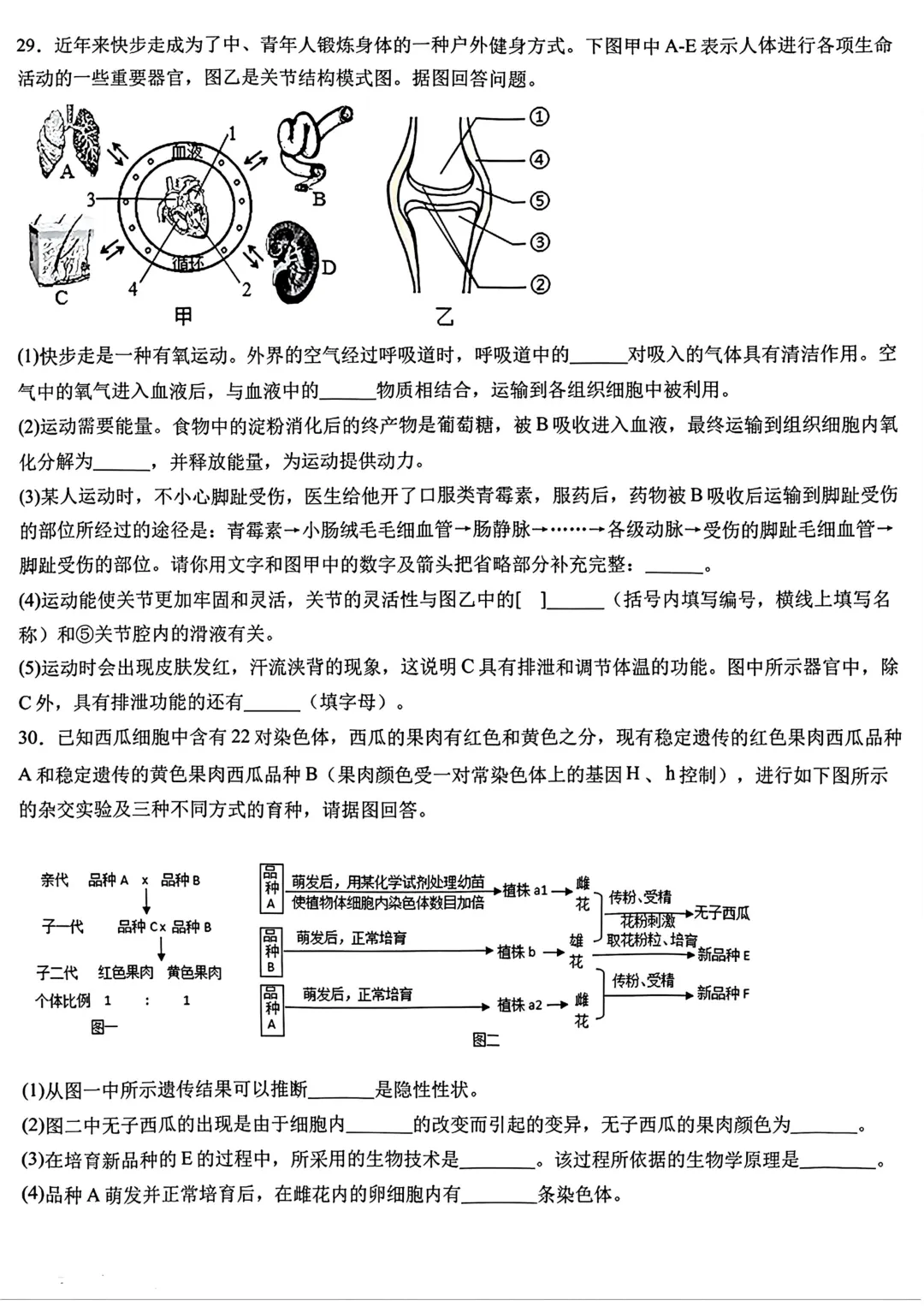 八年级地理模拟试卷 第16张