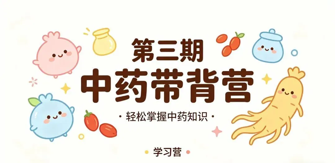 莲医考研 | 每日一题 真题精炼 24考研真题(160题) 第18张