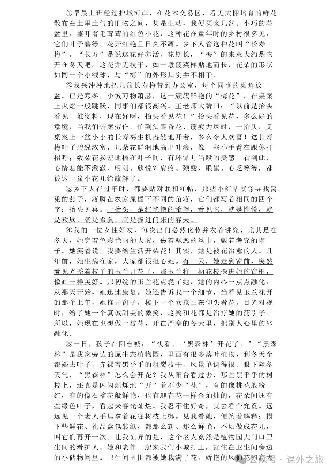 中考语文专项训练 专题21.叙事性散文阅读丨可下载 第3张