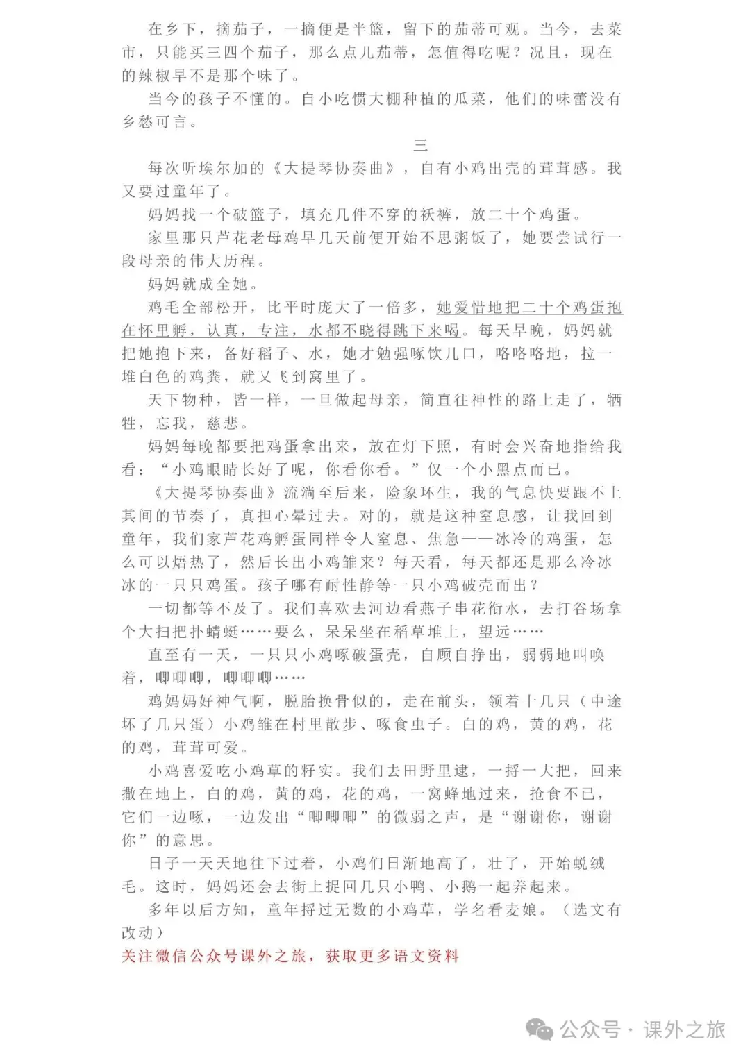 中考语文专项训练 专题21.叙事性散文阅读丨可下载 第13张