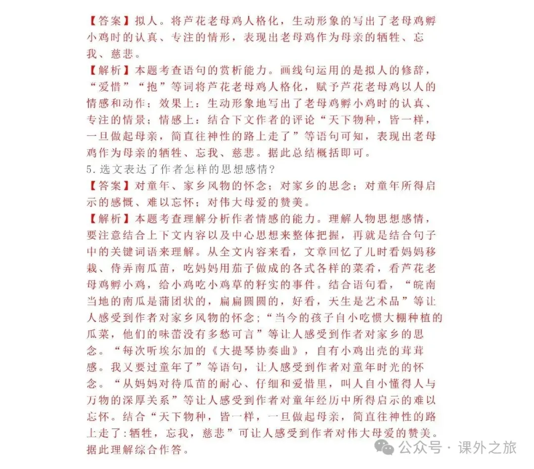 中考语文专项训练 专题21.叙事性散文阅读丨可下载 第15张