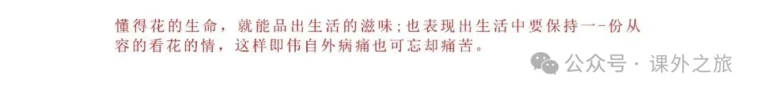 中考语文专项训练 专题21.叙事性散文阅读丨可下载 第86张