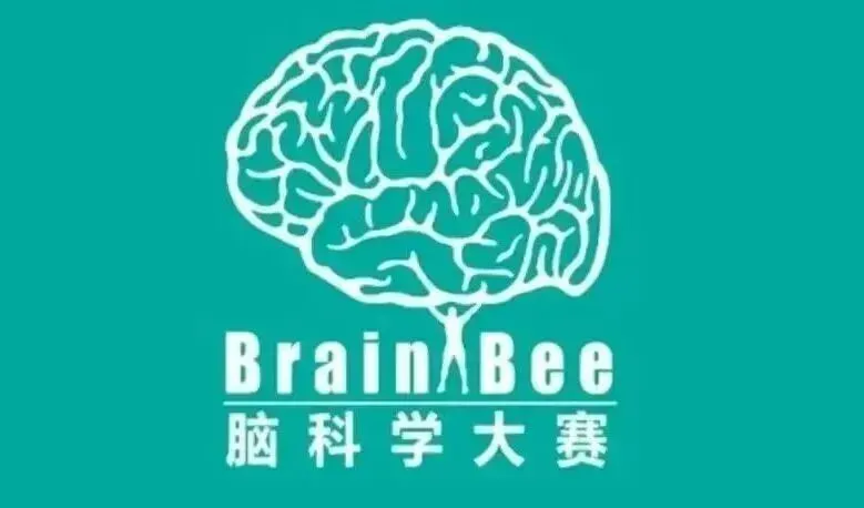 【brainbee脑科学竞赛】往年真题集+参考书+核心考点笔记!PDF电子版免费分享~ 第8张