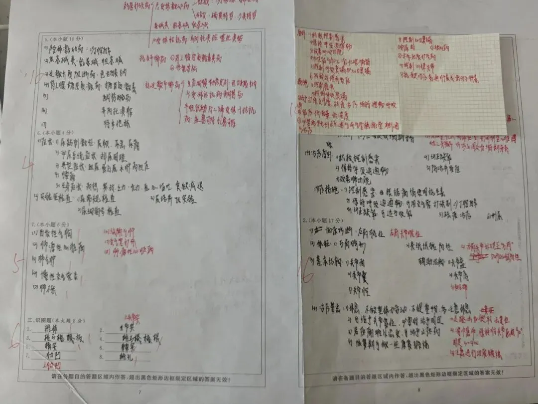 考前冲刺!这场模拟考,是你赢战春考的“提前彩排” 第8张