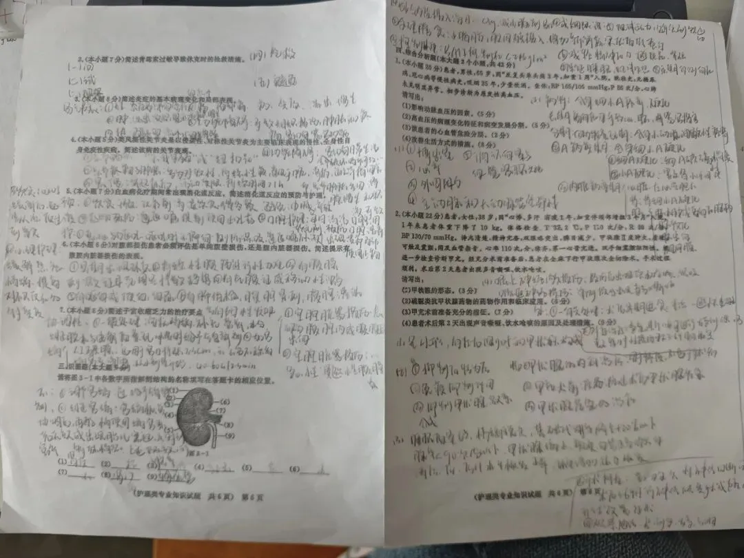 考前冲刺!这场模拟考,是你赢战春考的“提前彩排” 第14张