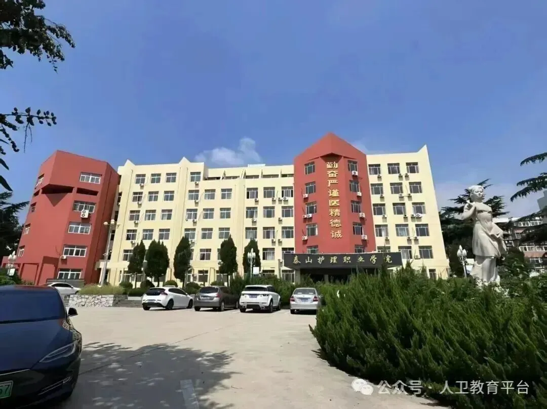 考前冲刺!这场模拟考,是你赢战春考的“提前彩排” 第44张