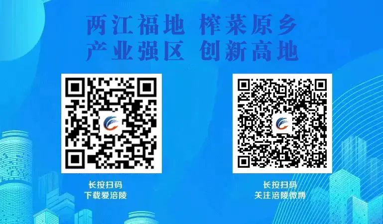 事关中考、普高招生,最新通知来了 第10张